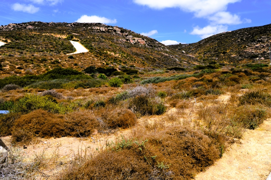 0 Bedroom Property for Sale in Steenbergs Cove Western Cape
